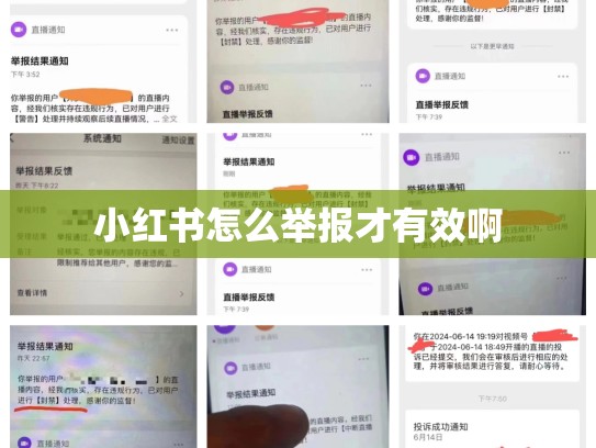 小红书怎么举报才有效啊