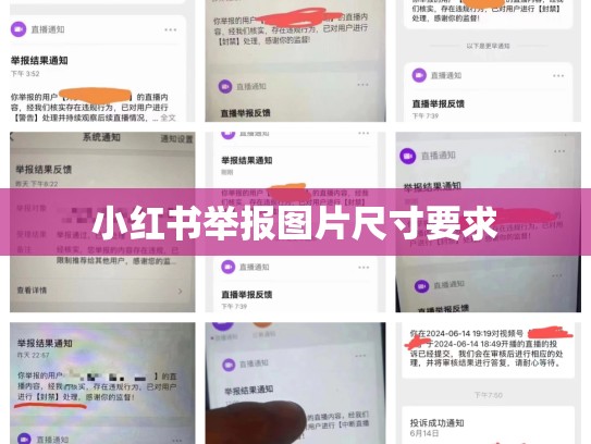 小红书举报图片尺寸要求