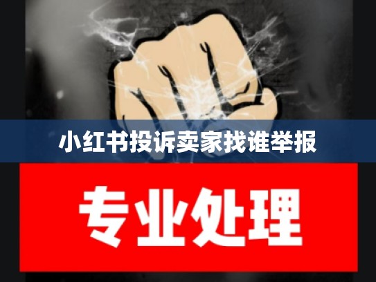 小红书投诉卖家找谁举报