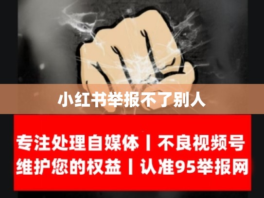 小红书举报不了别人