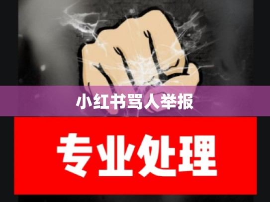 小红书骂人举报