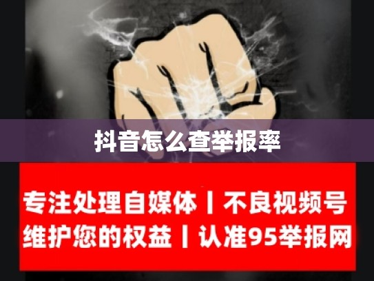 抖音怎么查举报率