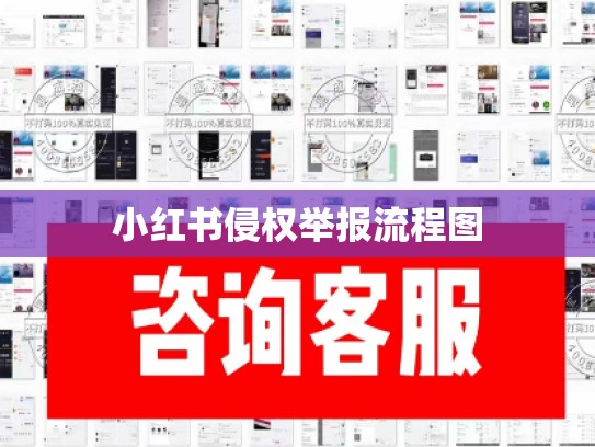 小红书侵权举报流程图