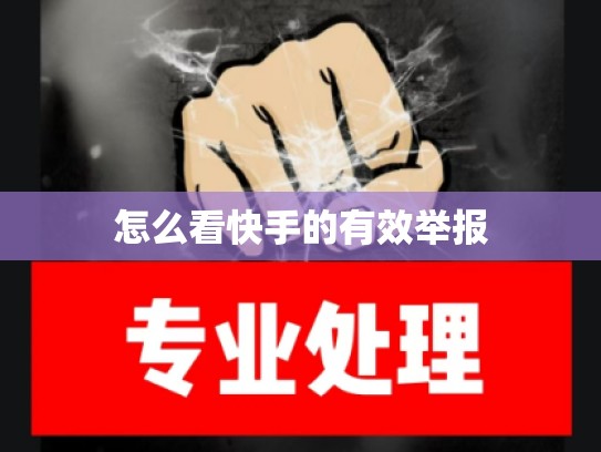 怎么看快手的有效举报