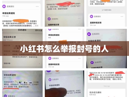 小红书怎么举报封号的人