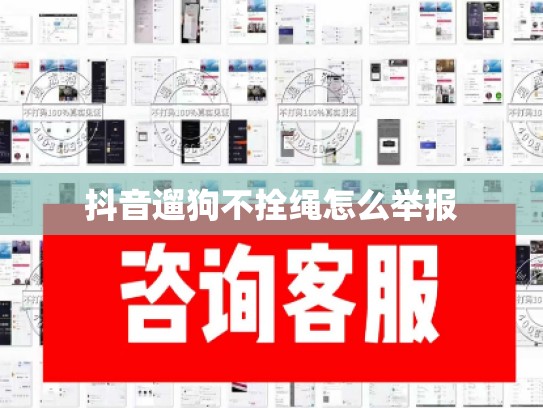 抖音遛狗不拴绳怎么举报