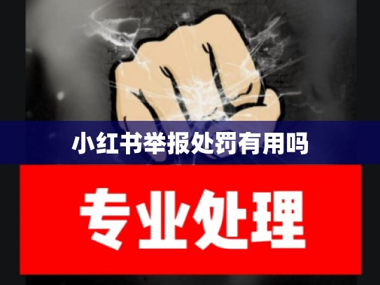 小红书举报处罚有用吗