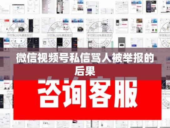 微信视频号私信骂人被举报的后果